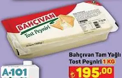 BAHÇIVAN TAM YAĞLI TOST PEYNİRİ BAHÇIVAN TAM YAĞLI TOST PEYNİRİ